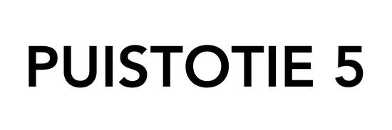 Puistotie 5
