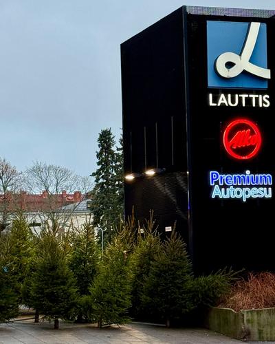 Joulukuuset nyt Lauttiksen toritasolta